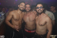 circuitpapi12-20-234