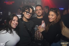 circuitpapi12-20-280