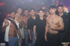 circuitpapi12-20-283