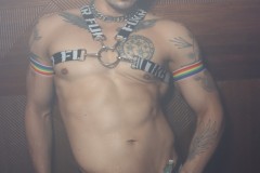 circuitpapi12-20-289