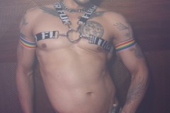 circuitpapi12-20-291