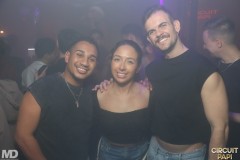 circuitpapi12-20-305