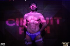circuitpapi3-27-48