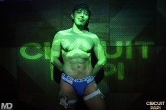 circuitpapi3-27-52