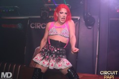 circuitpapi3-28-181