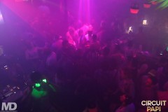 circuitpapi3-28-223