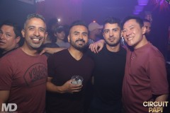 circuitpapi5-2-187