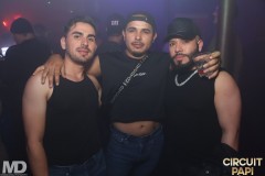 circuitpapi8-16-383