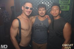 circuitpapi8-16-390