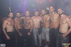 circuitpapi9-18-294
