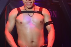 corazon1-23-204