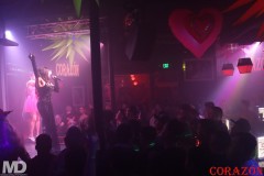 corazon2-28-344