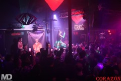 corazon3-14-205
