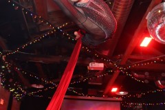 holidayparty@fluid51012-14-351