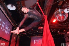 holidayparty@fluid51012-14-353