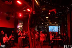 holidayparty@fluid51012-14-367