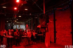 holidayparty@fluid51012-14-378