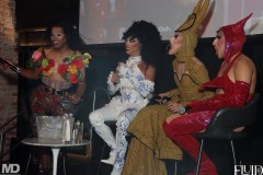 fluiddragraceviewing3-6-168