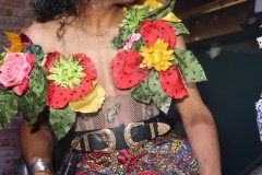 fluiddragraceviewing3-6-278