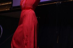 fluiddragraceviewing3-6-443