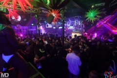 pandulcesfnye2026-2