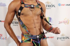 papipride8-15-11