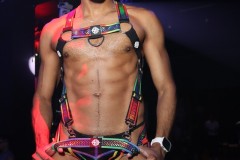 papipride8-15-186
