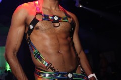 papipride8-15-190