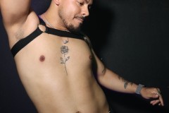 papipride8-15-250