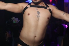 papipride8-15-365