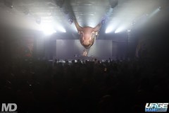 urgeguapo11-29-1104