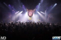 urgeguapo11-29-1166