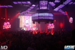 kissmetiger12-107