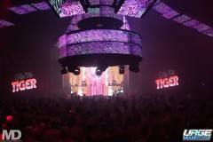 kissmetiger12-137