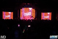 kissmetiger12-203