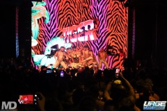 kissmetiger12-207
