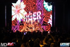 kissmetiger12-209