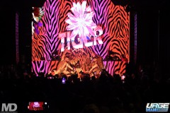 kissmetiger12-211