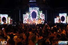kissmetiger12-244