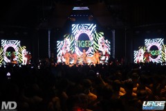 kissmetiger12-247