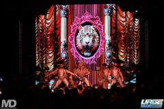 kissmetiger12-272