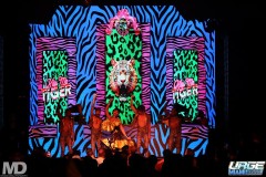 kissmetiger12-310