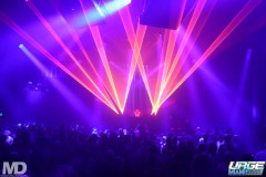 kissmetiger12-83
