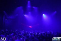 kissmetiger12-94